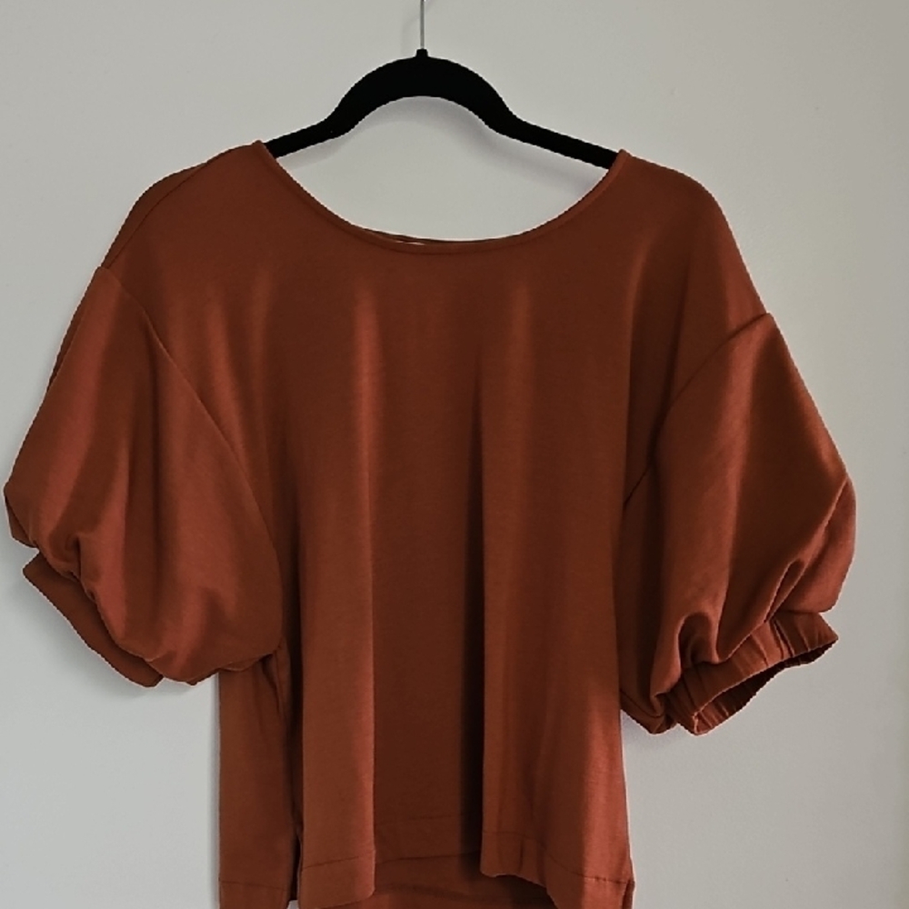 Cuyana Terracotta Puff Sleeve Blouse Size Medium Like New!